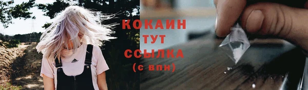 трава Инсар