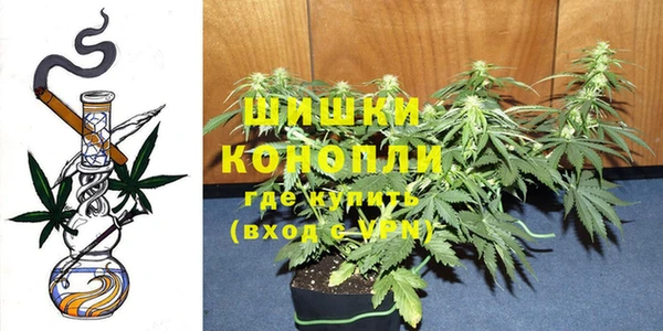прущие крисы Инта