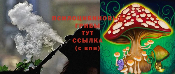 прущие крисы Инта