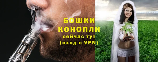 прущие крисы Инта