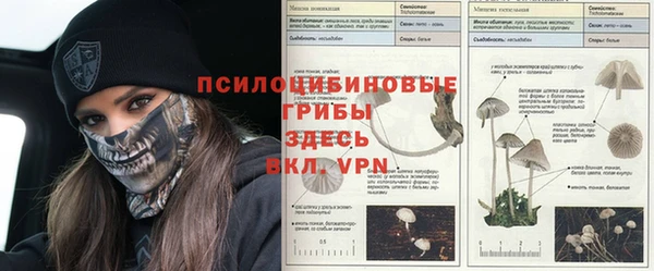 трава Инсар