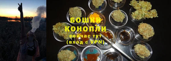 прущие крисы Инта