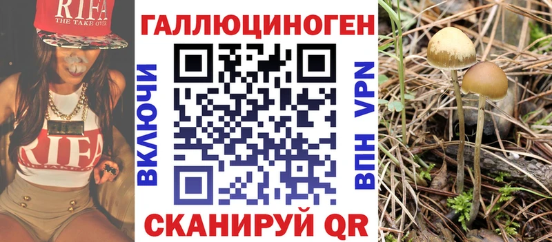 Купить Белокуриха Галлюциногенные грибы прущие грибы